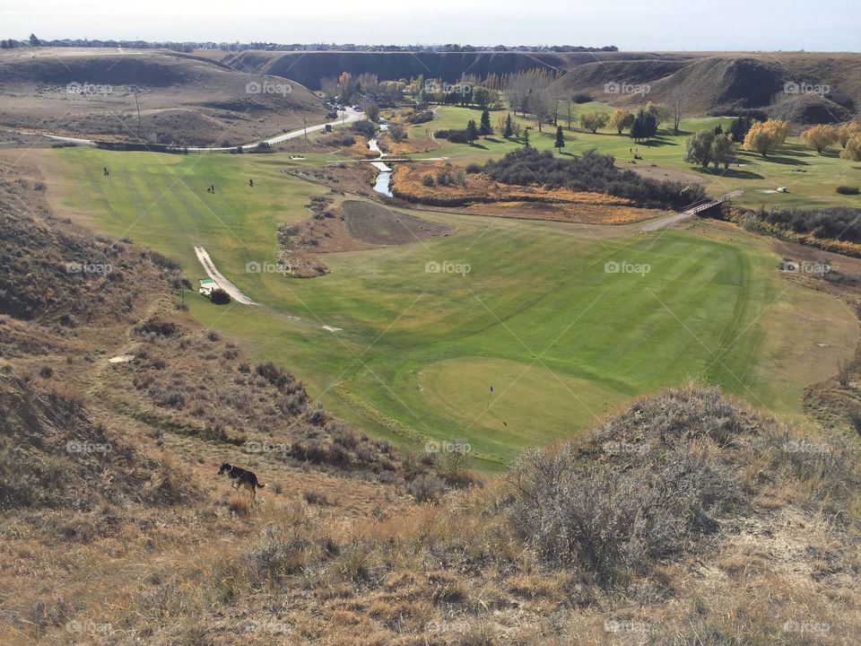 Looking down the golf course 