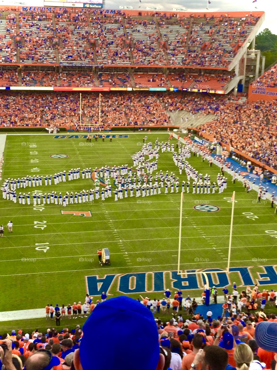 Gator Game