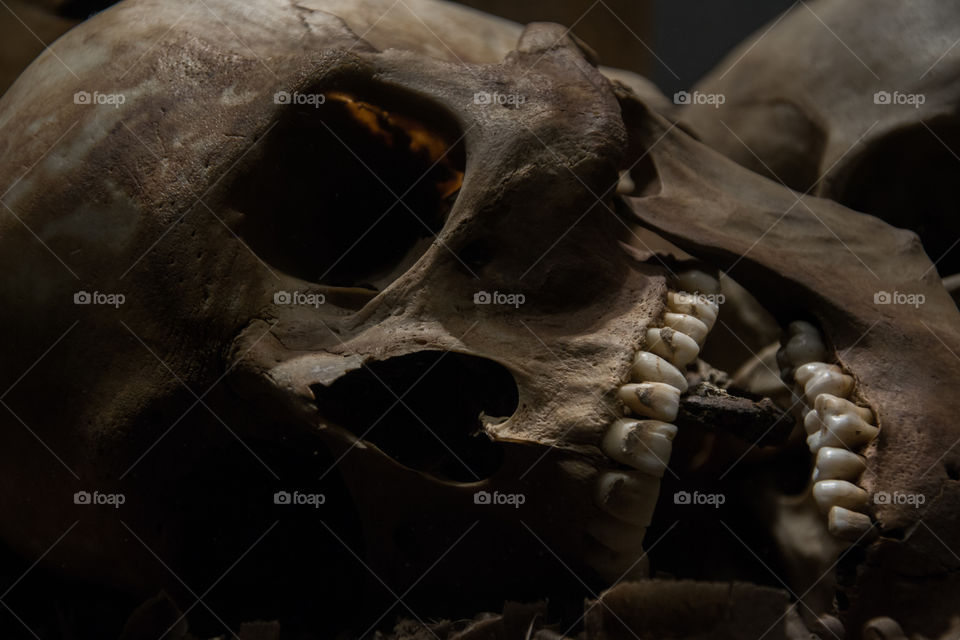 Skulls on show for the public at a local museum in Sweden.