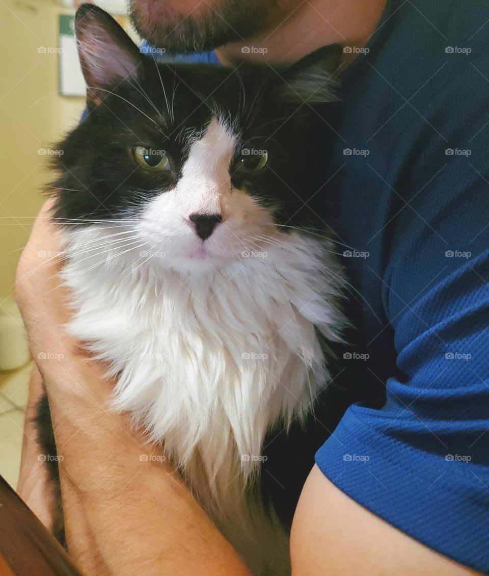 This feline is family.