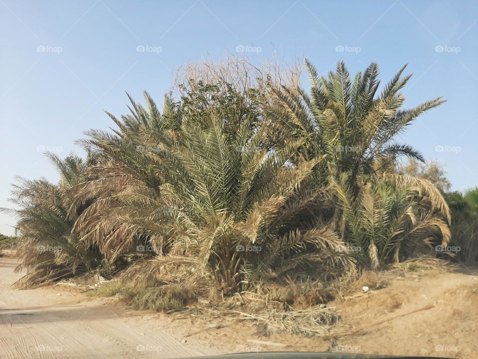 Please make me happy, I am poor, I need your help with support