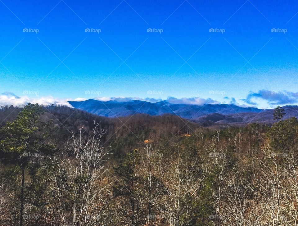 A breath of fresh air