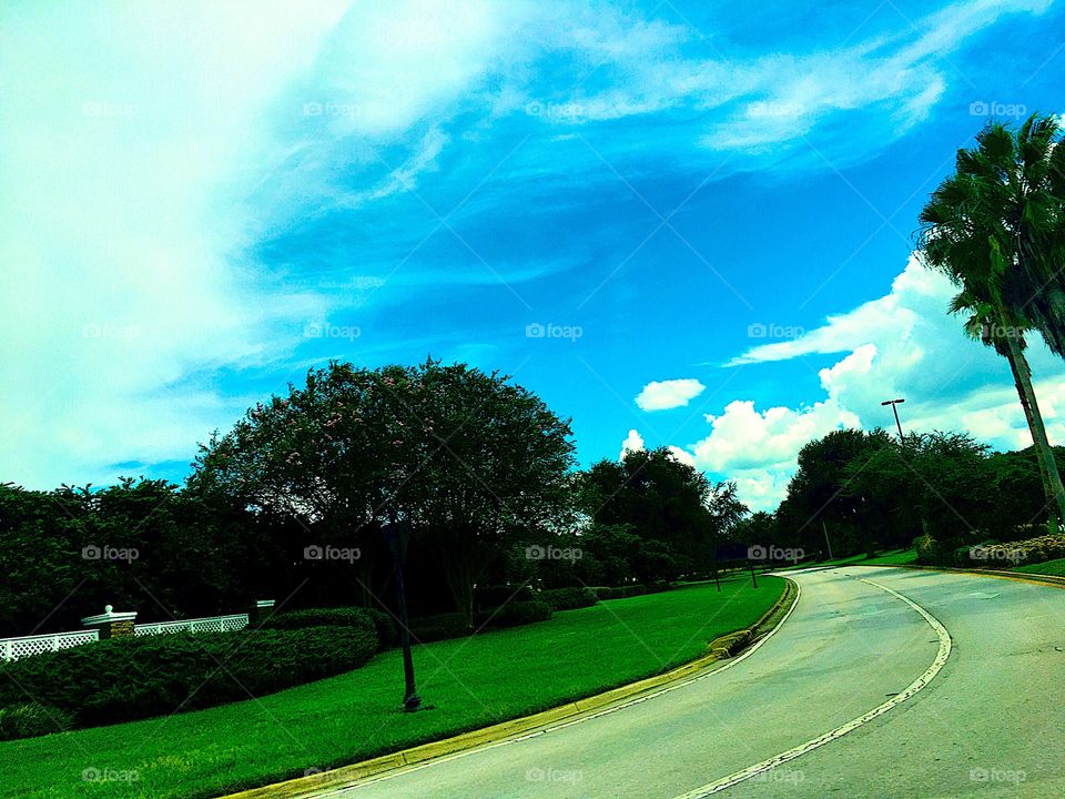Road curve, winding. Around nature, trees, green grass, trees, Florida landscape silouette, with citrus cloud formations forecasting rain within the next 24 hours