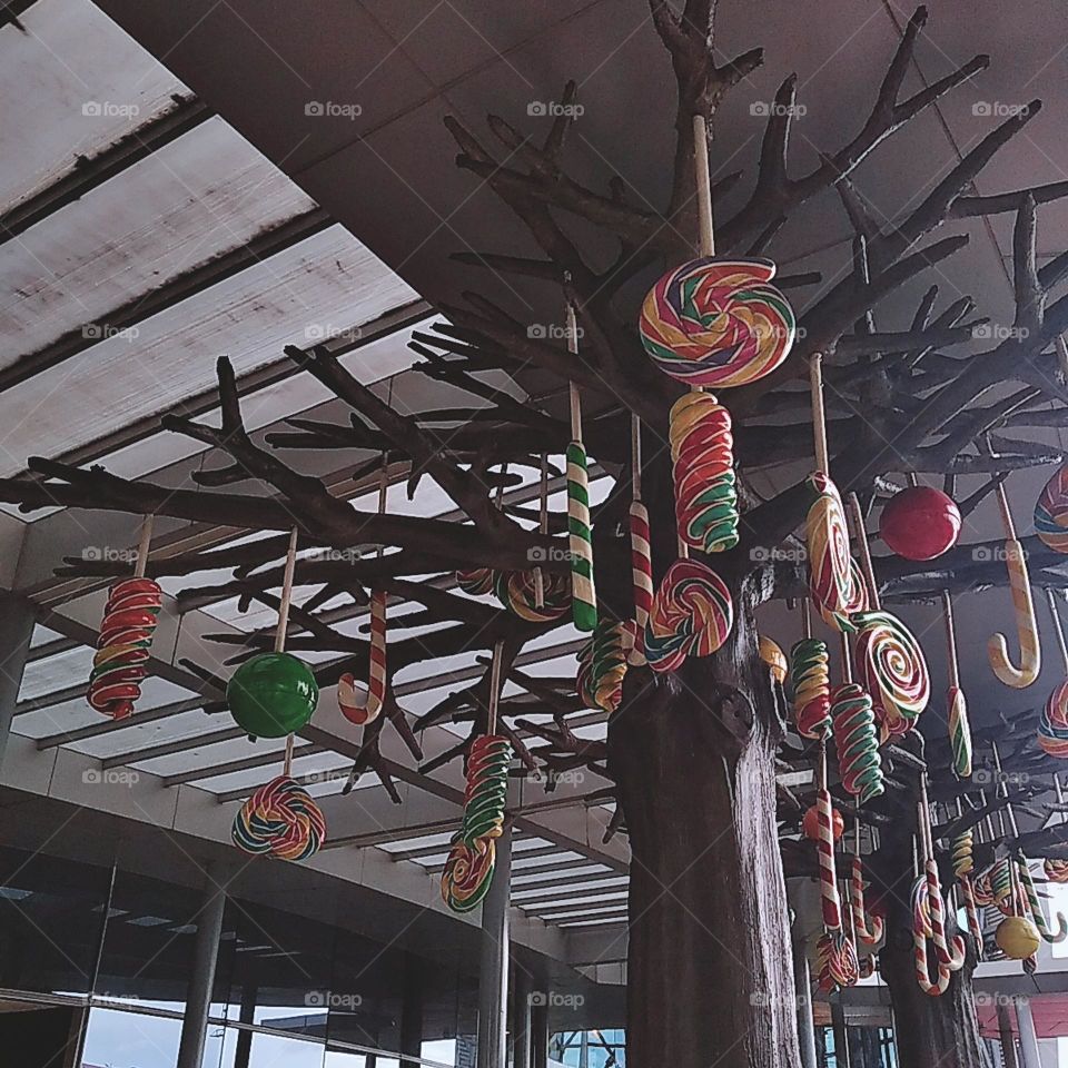 Candies hanging on the tree