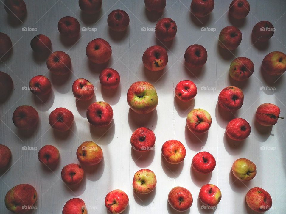 red apples on white background