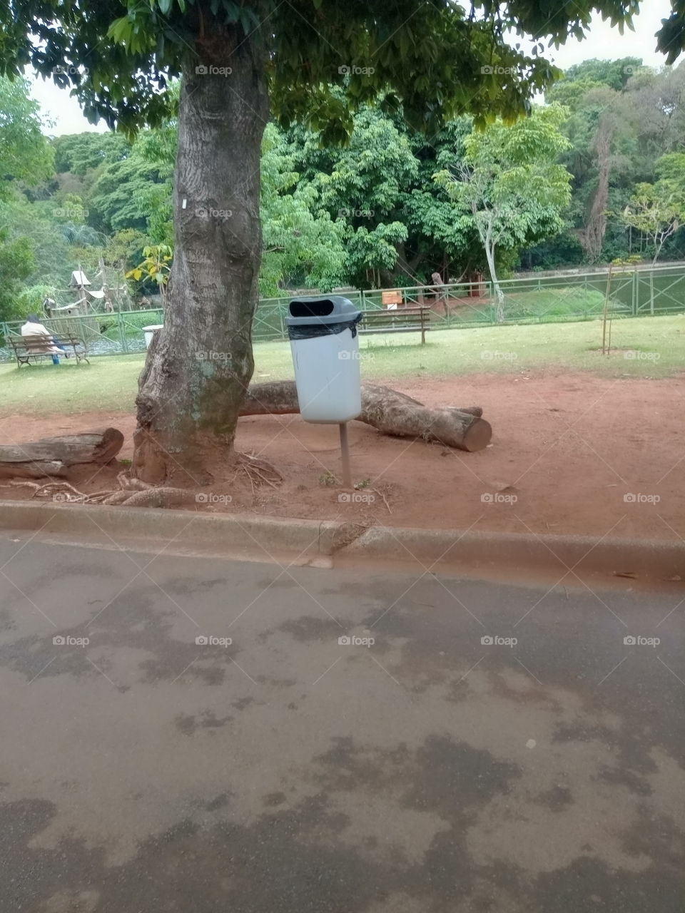 Lixeira: jogue o lixo no lixo