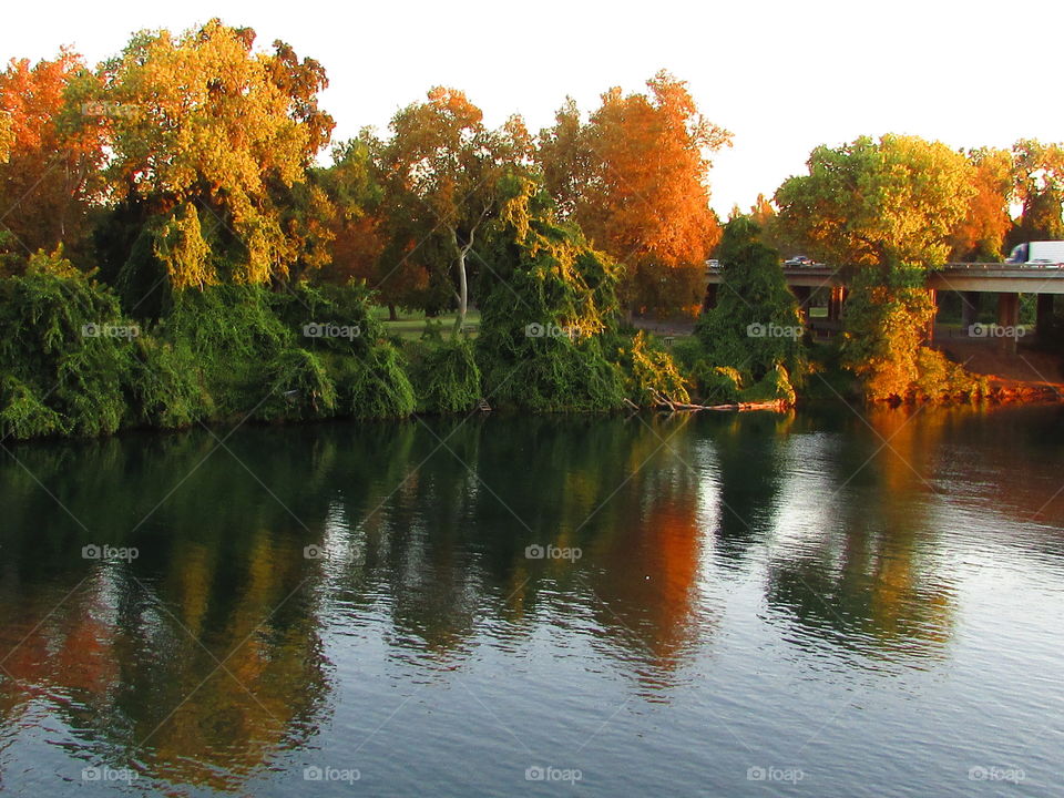 Water, No Person, Fall, River, Tree