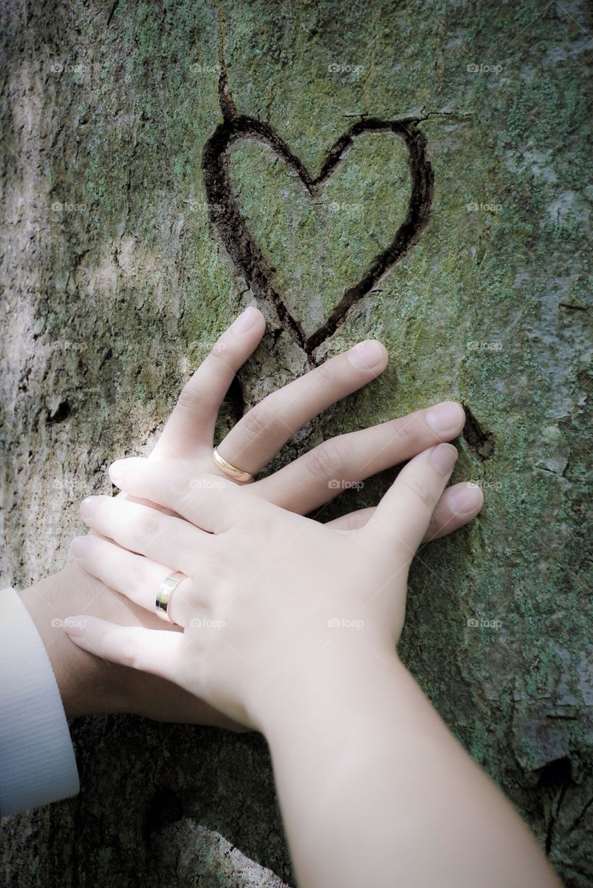 rings tree sweet hands by jbdc