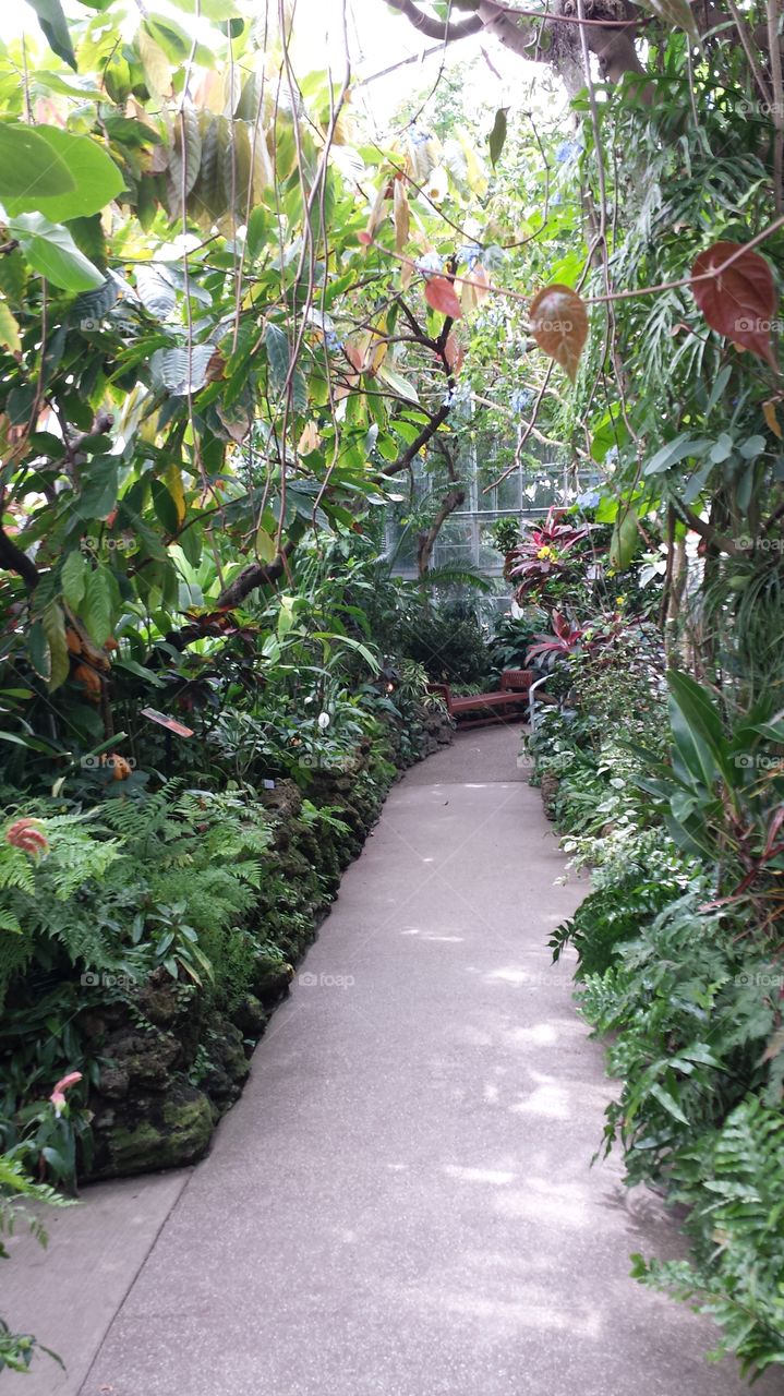garden pathway. krohn conservatory Cincinnati Ohio
