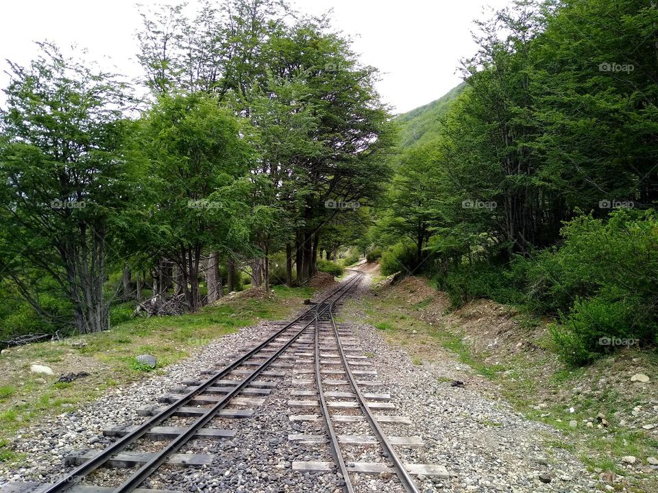 Train of the end of the world