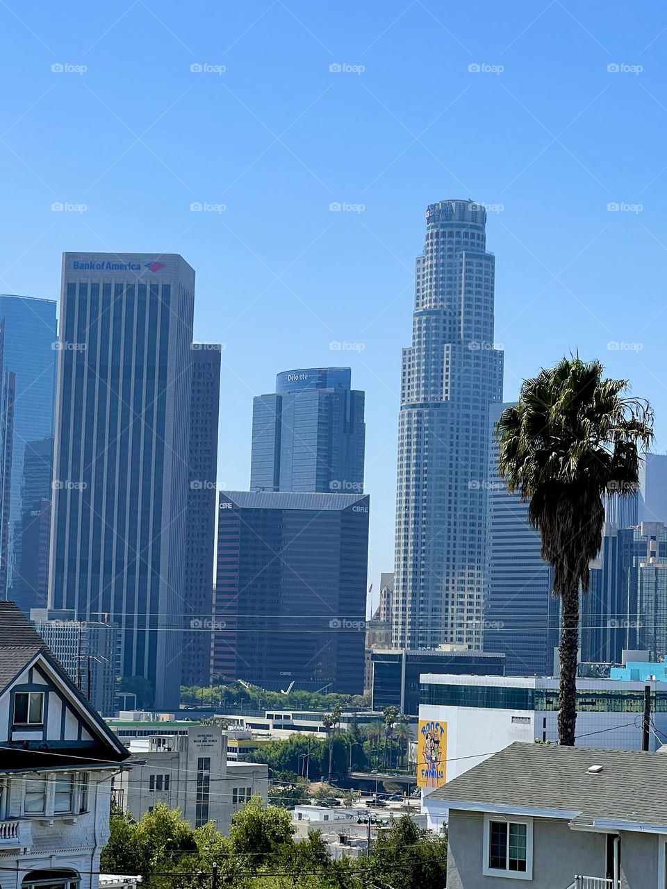 View of Downtown Los Angeles with a palm tree in front from Westlake  