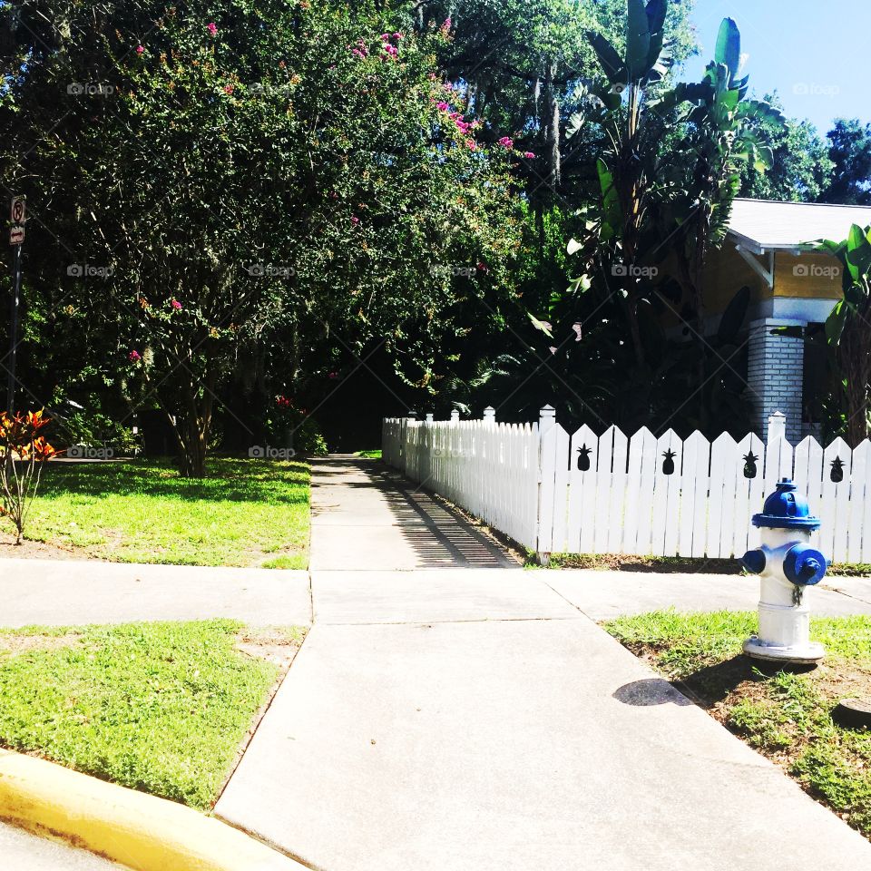 Pineapple Fence. A white picket fence with pineapple cut outs.