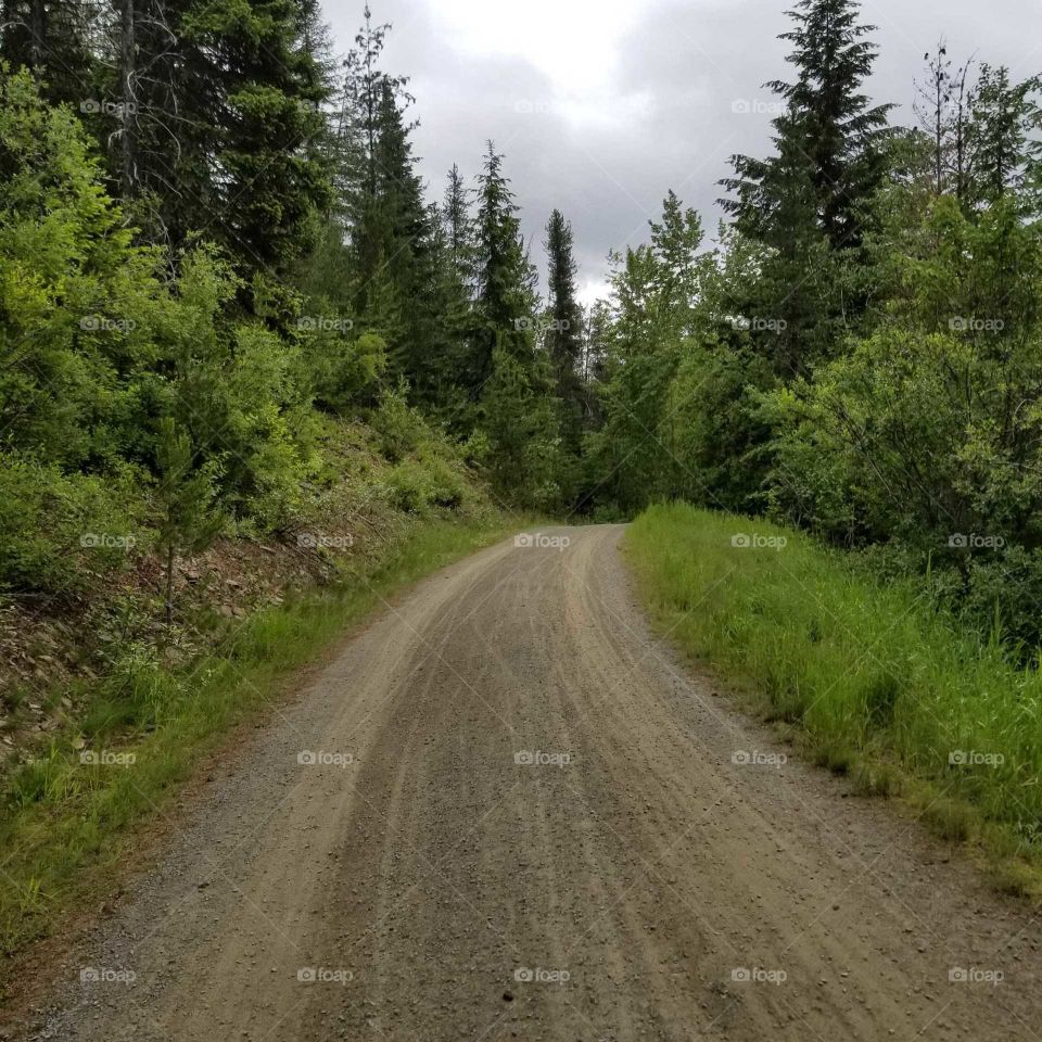 mountain dirt road surrounded by green trees under a cloudy sky