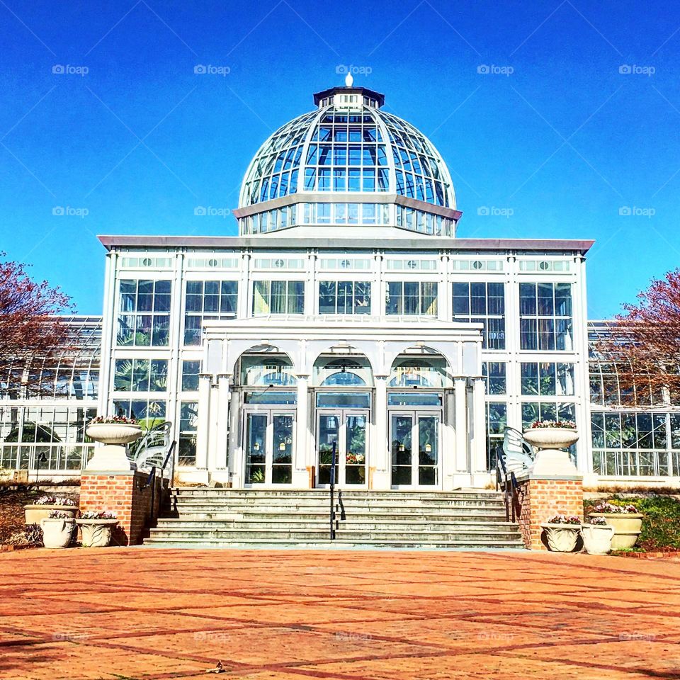 Lewis Ginter greenhouse 