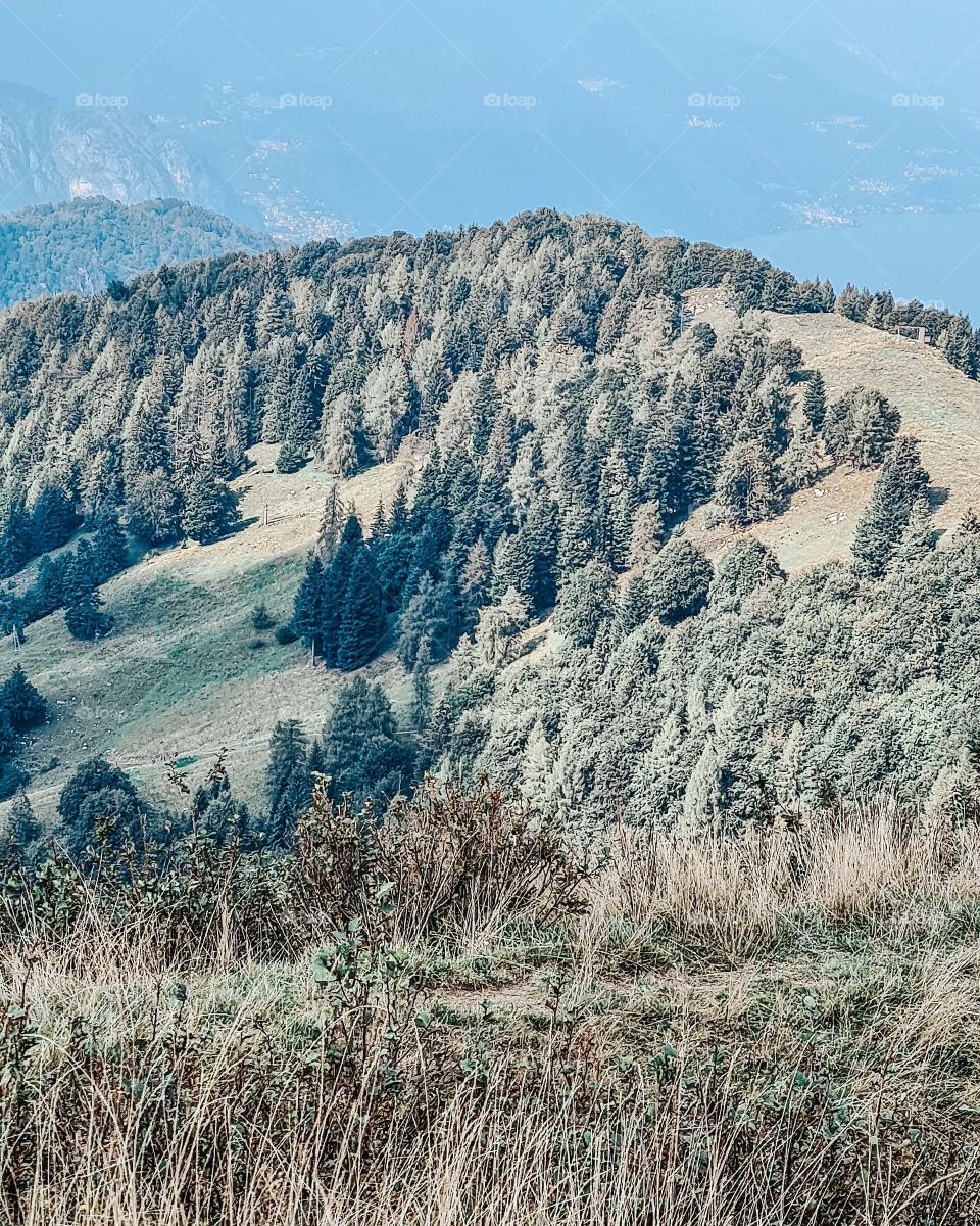 Lì avevano il sopravvento le conifere, e il vento ci passava in mezzo sospirando, recando il profumo di abete e quello dolce della resina.