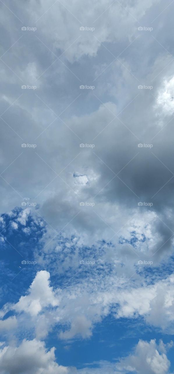 Hong Kong Harbourfront