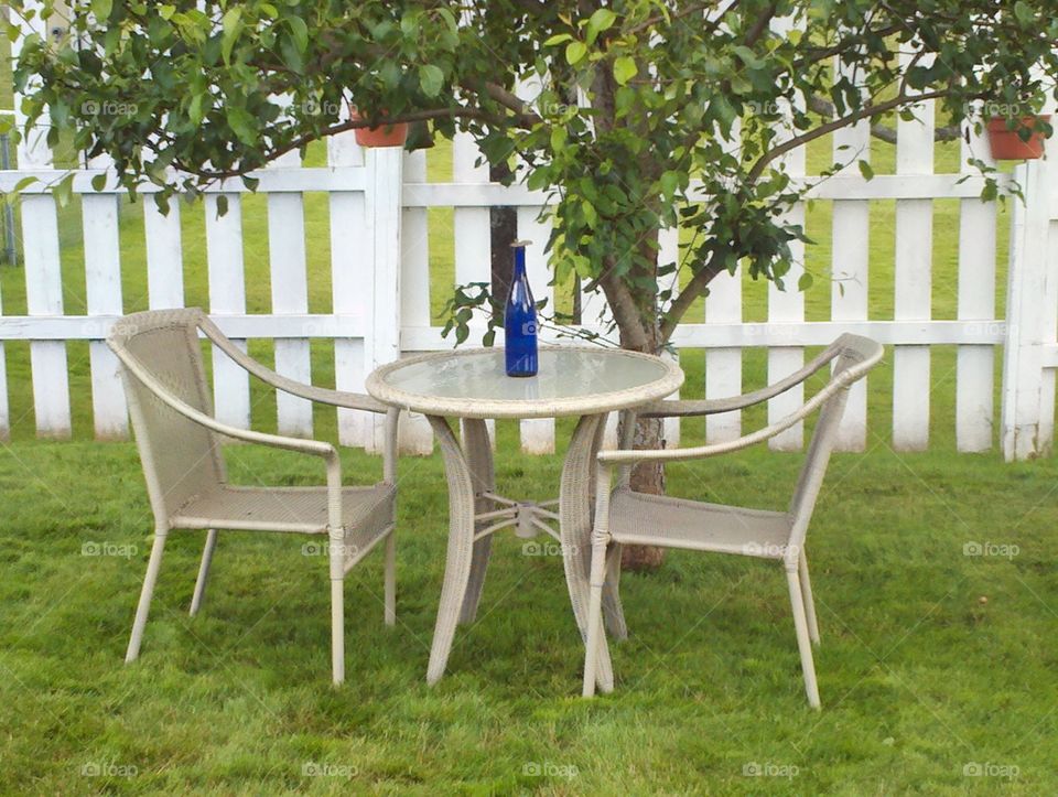table under a tree