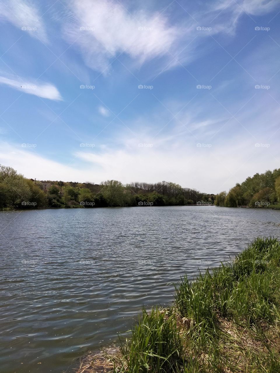 beautiful shine of the river on a sunny day