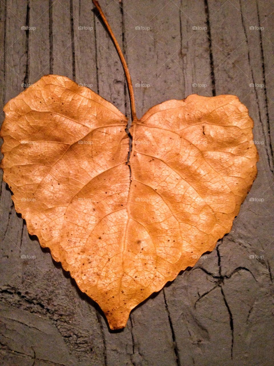 Leaf heart