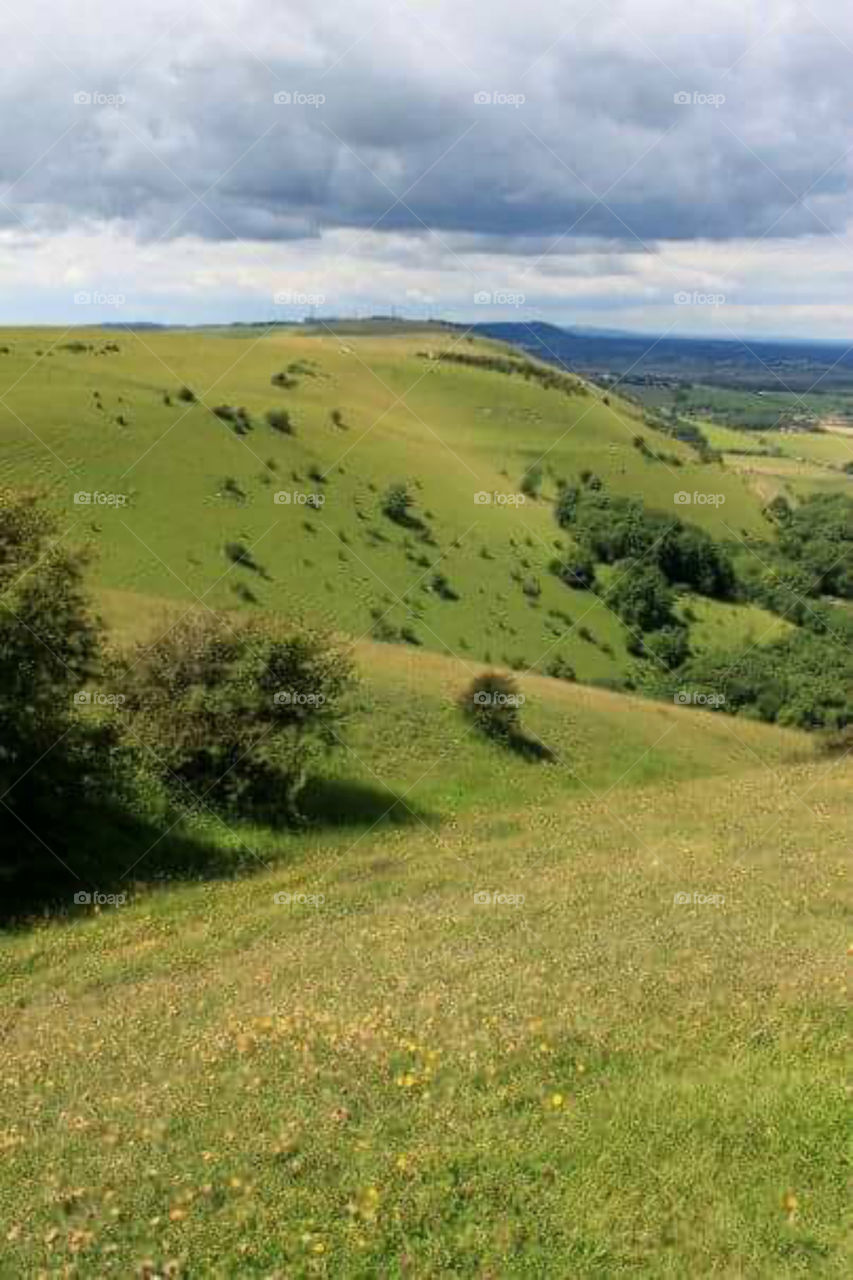 BEAUTIFUL LANDSCAPE! !