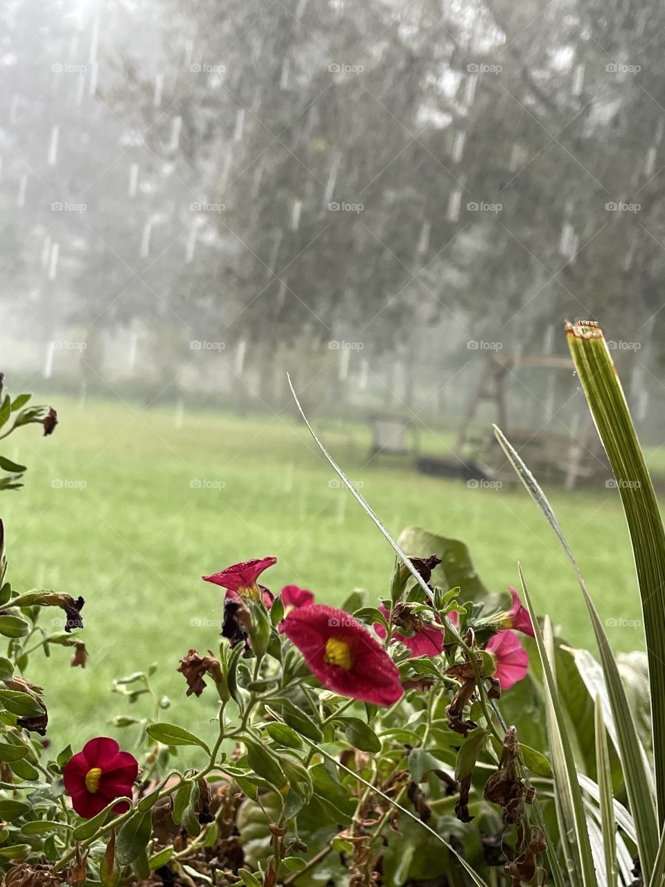 Staying dry. 