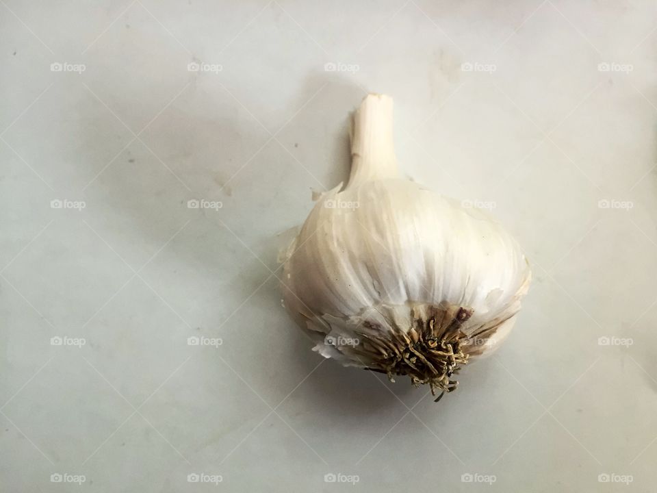 Garlic