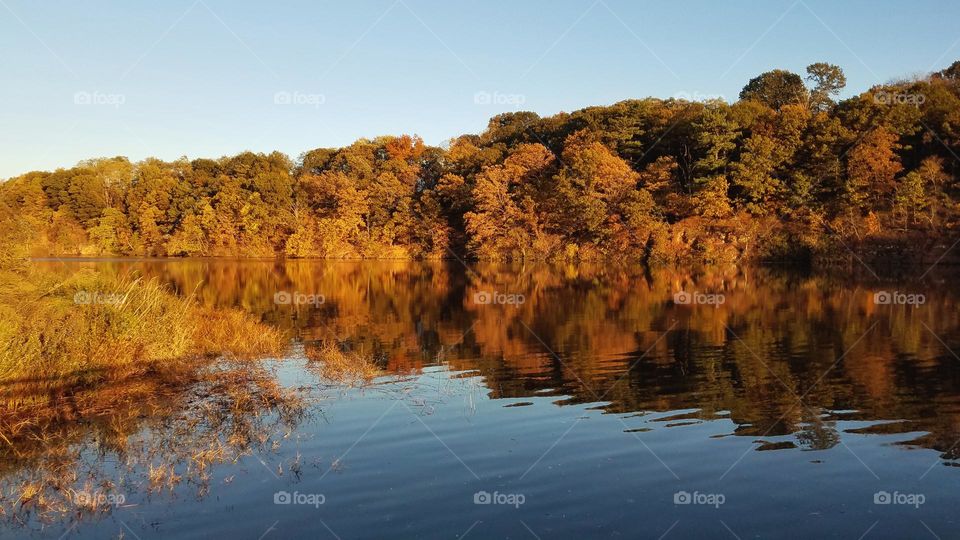 Autumn Lake