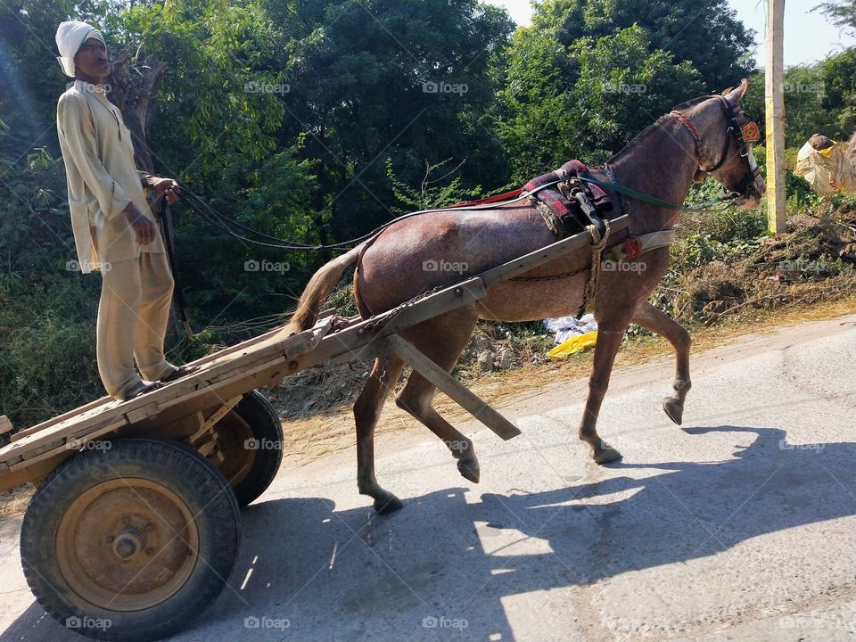 Captured this shot during a visit to my village.🤩📸This is one of my favourite rural shots.🌟