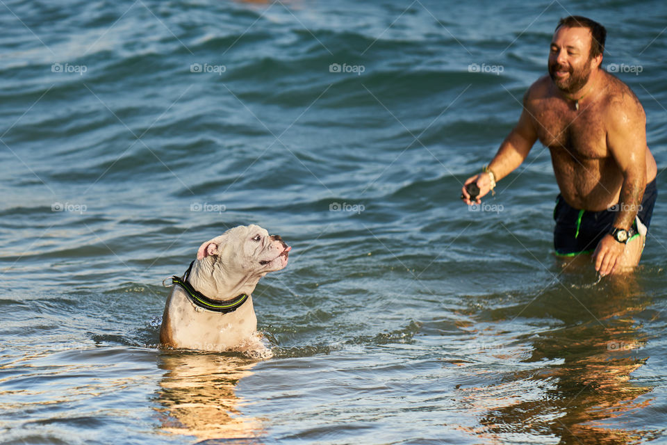 Bulldog bañandose en el mar con su dueño