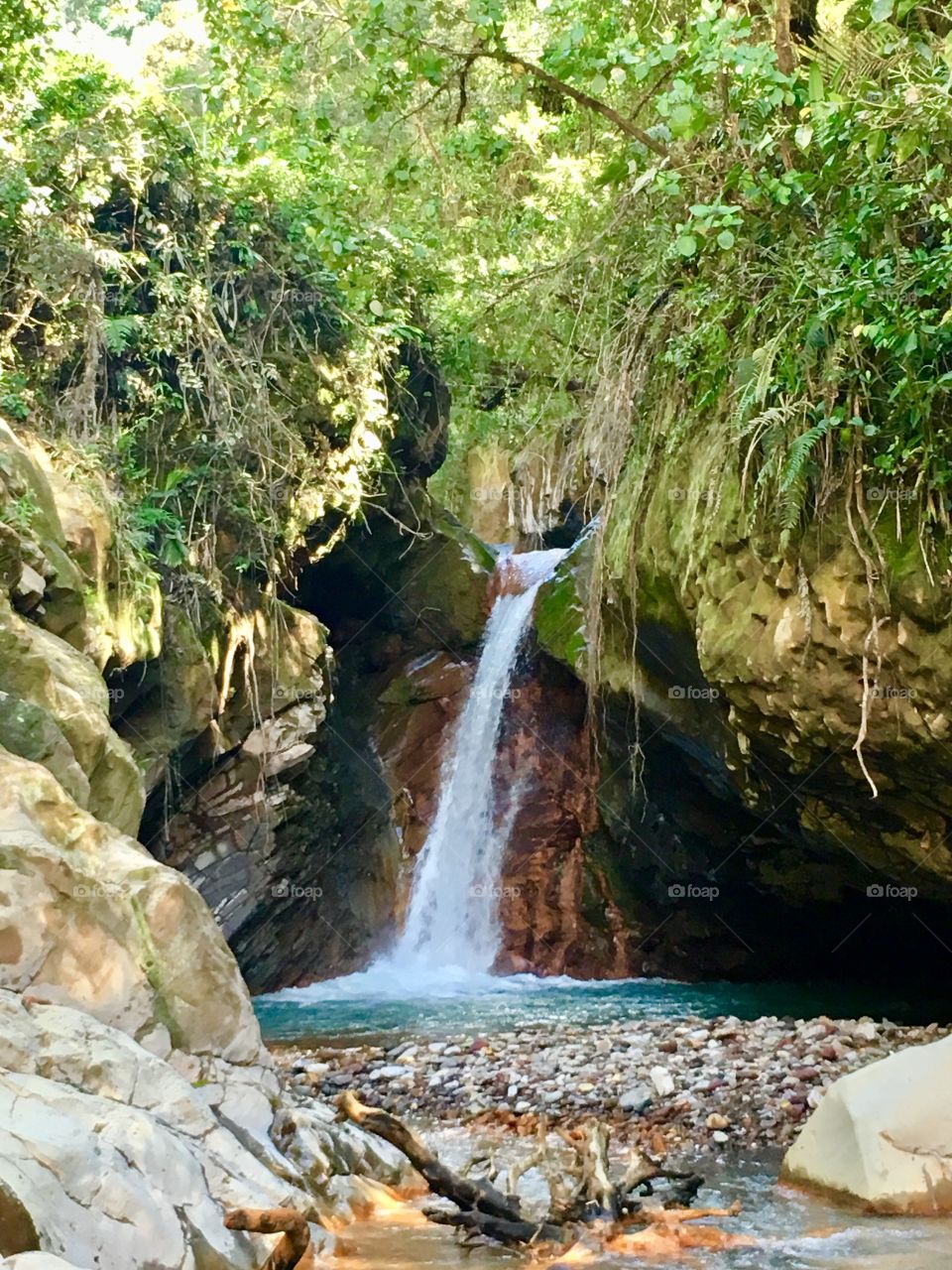 Tesoro Escondido Waterfall, Bajos del Toro, Costa Rica 