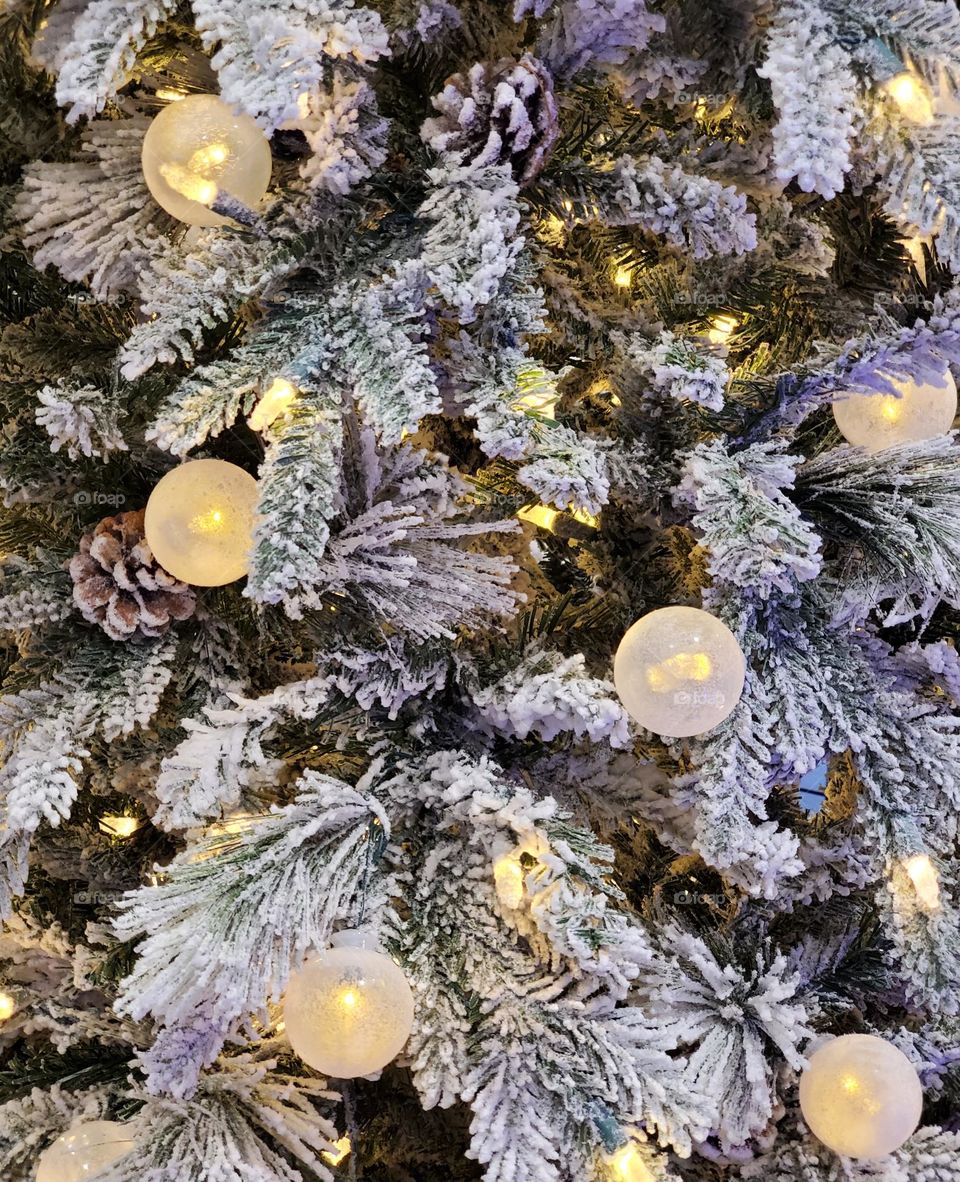 Christmas Tree of Snow and Lights