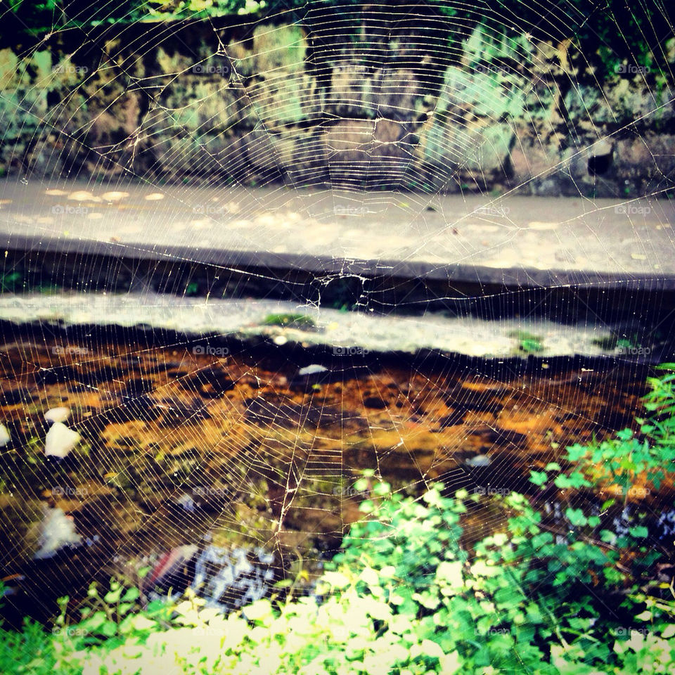 Beautiful intricate intricacy.