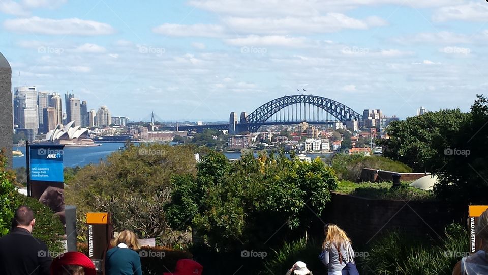 Sydney and Harbour Bridge