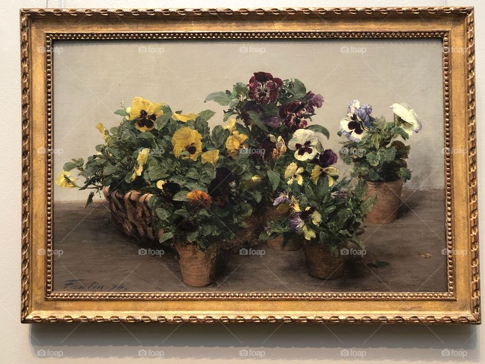 Gallery of Art Series