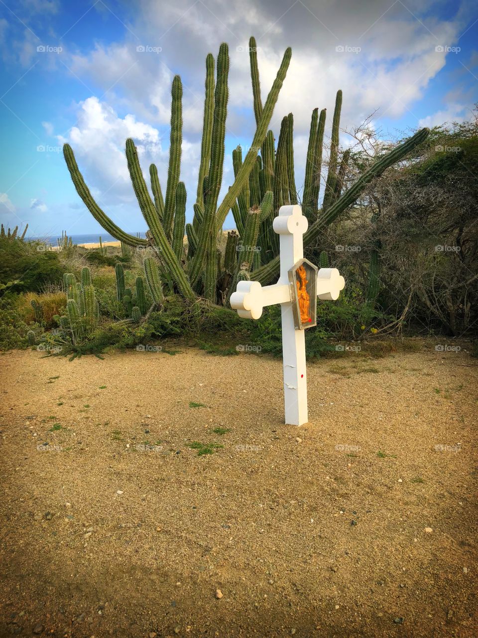Church cross, cactus in background in Aruba during our UTV excursion with Carnival Sunshine Cruise 2018