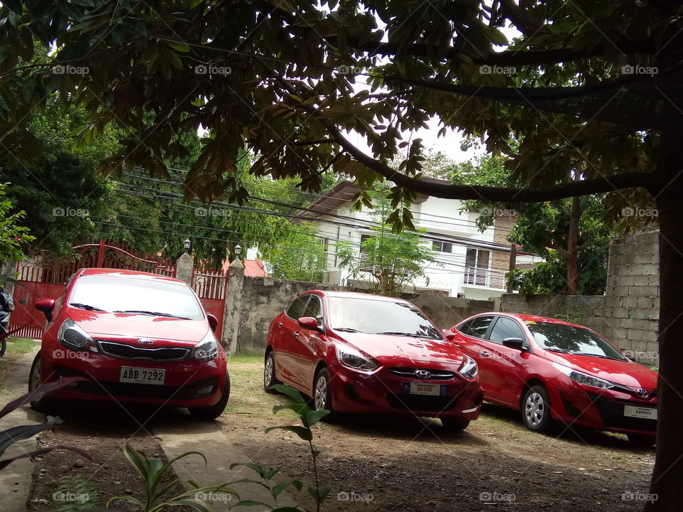 Asian Cars (Kia, Hyundai, and Toyota)