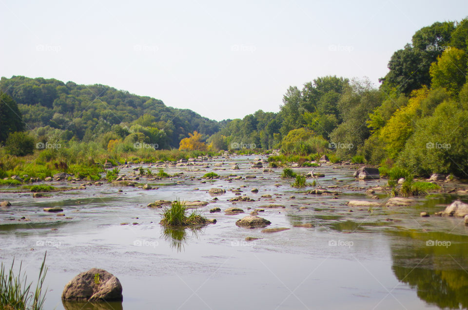 River with stones in the forest 