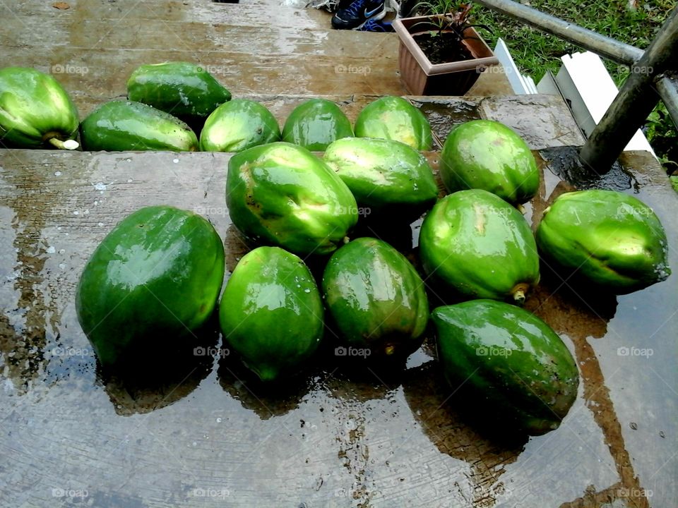 harvested papayas