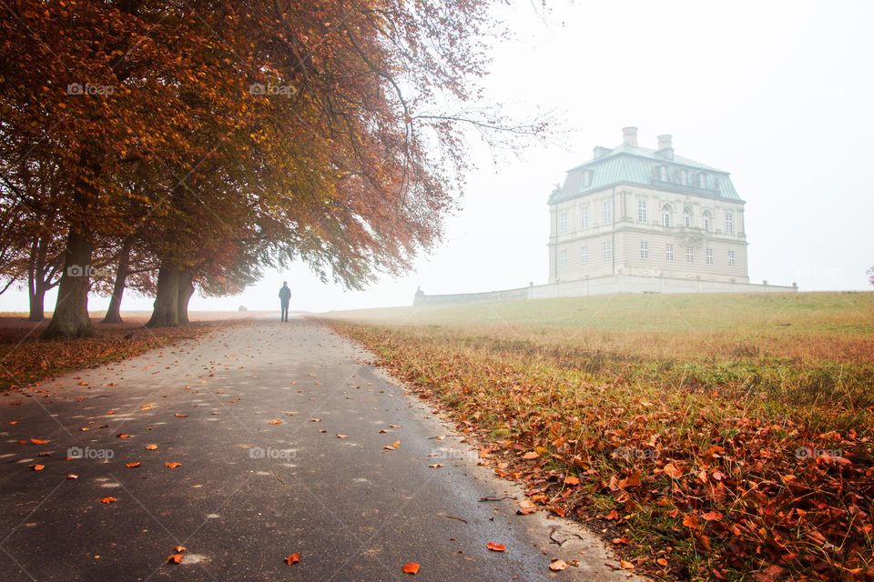 Distant view of a person on street during autumn