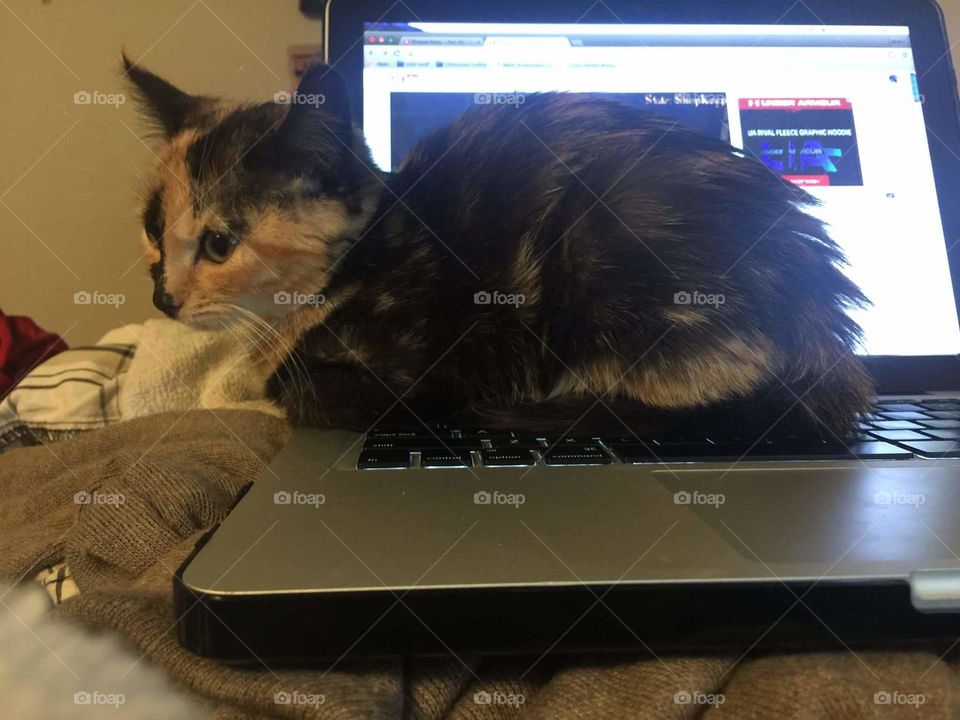 Your computer? No, dis my seat.