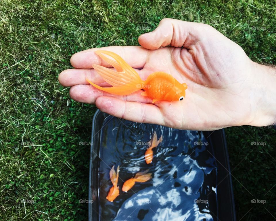 Plastic goldfish