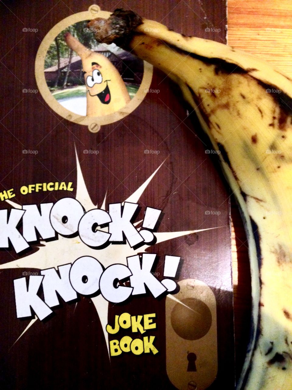 Knock Knock Who's There?

Published by:
HappyBrownMonkey 