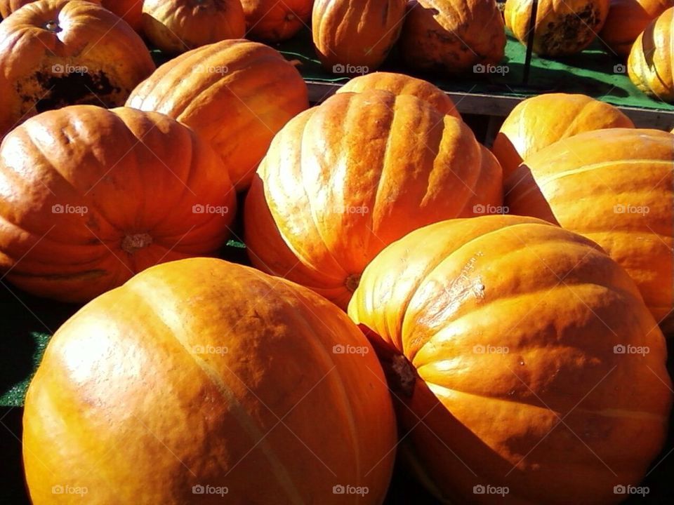 Pumpkins