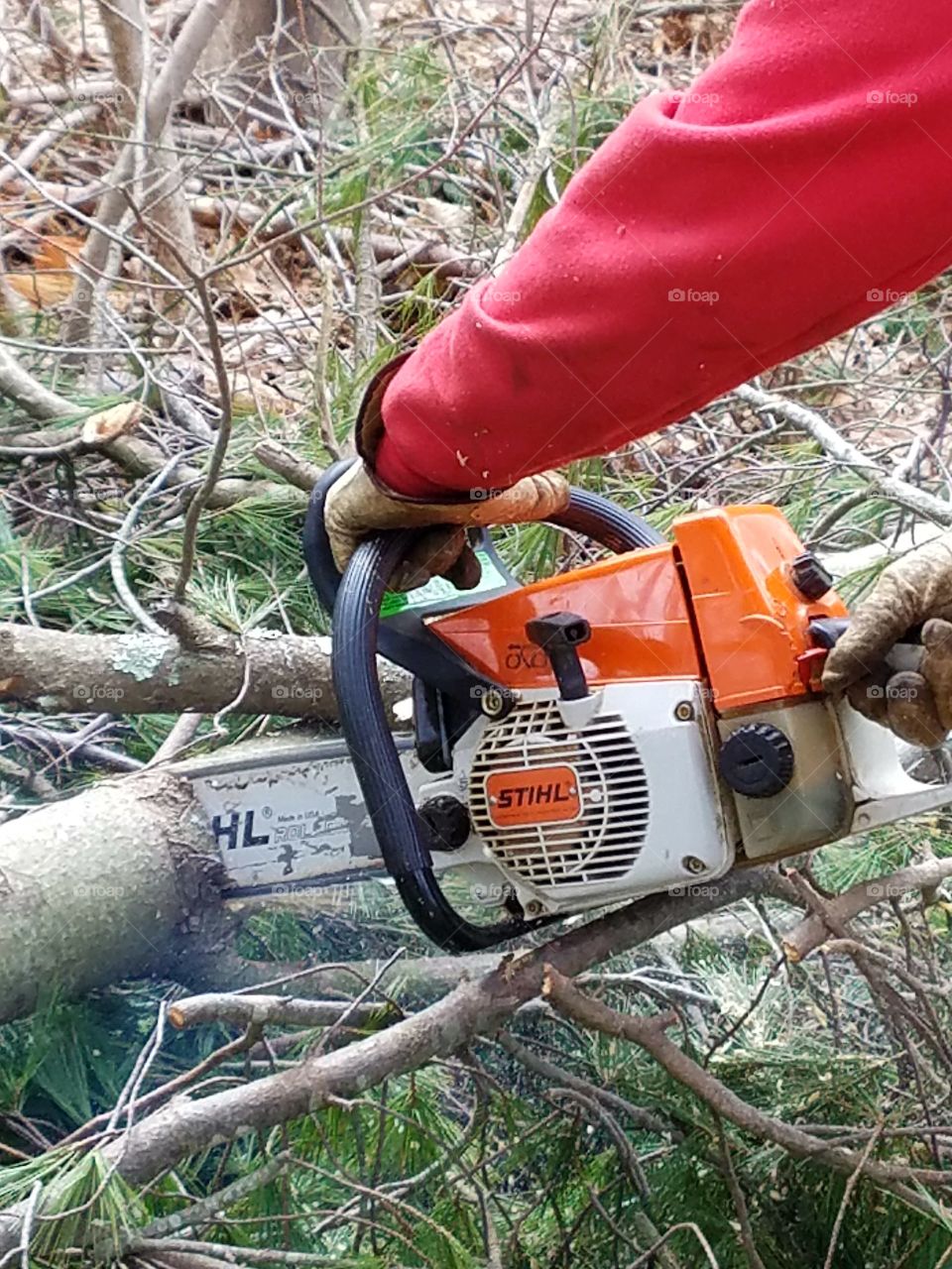 Older Stihl gas chainsaw, saw blade cutting into limb. Stihl name written on saw blade & motor casing. Stihl colors are orange & white.