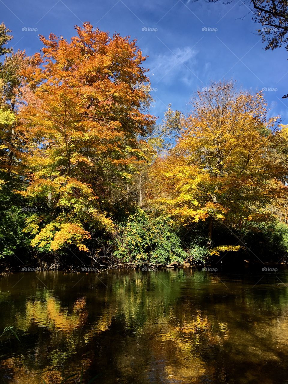 Clinton River and beautiful fall colors! 
