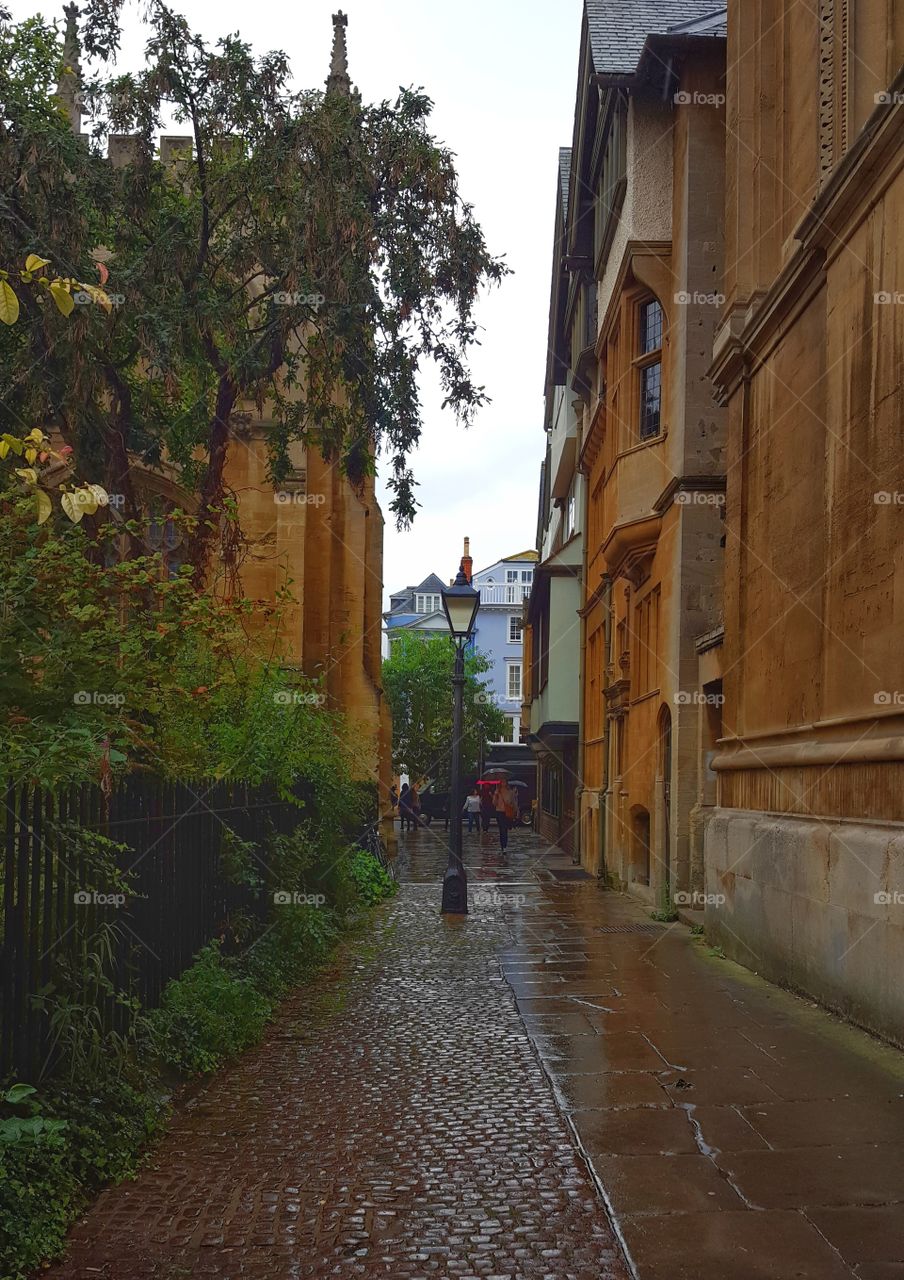 streetlight in the street