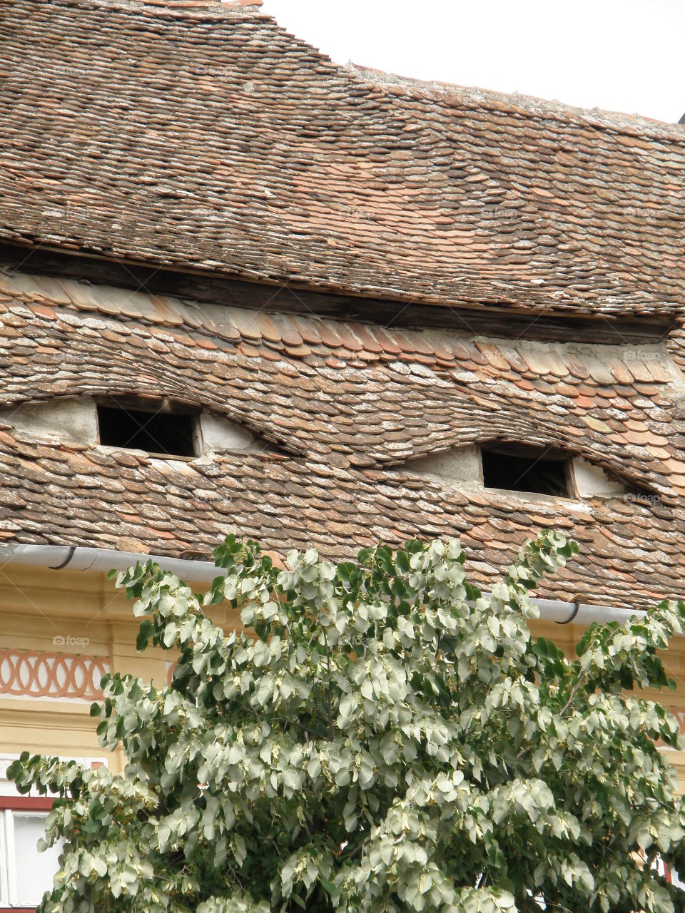 Eye-shaped roofing