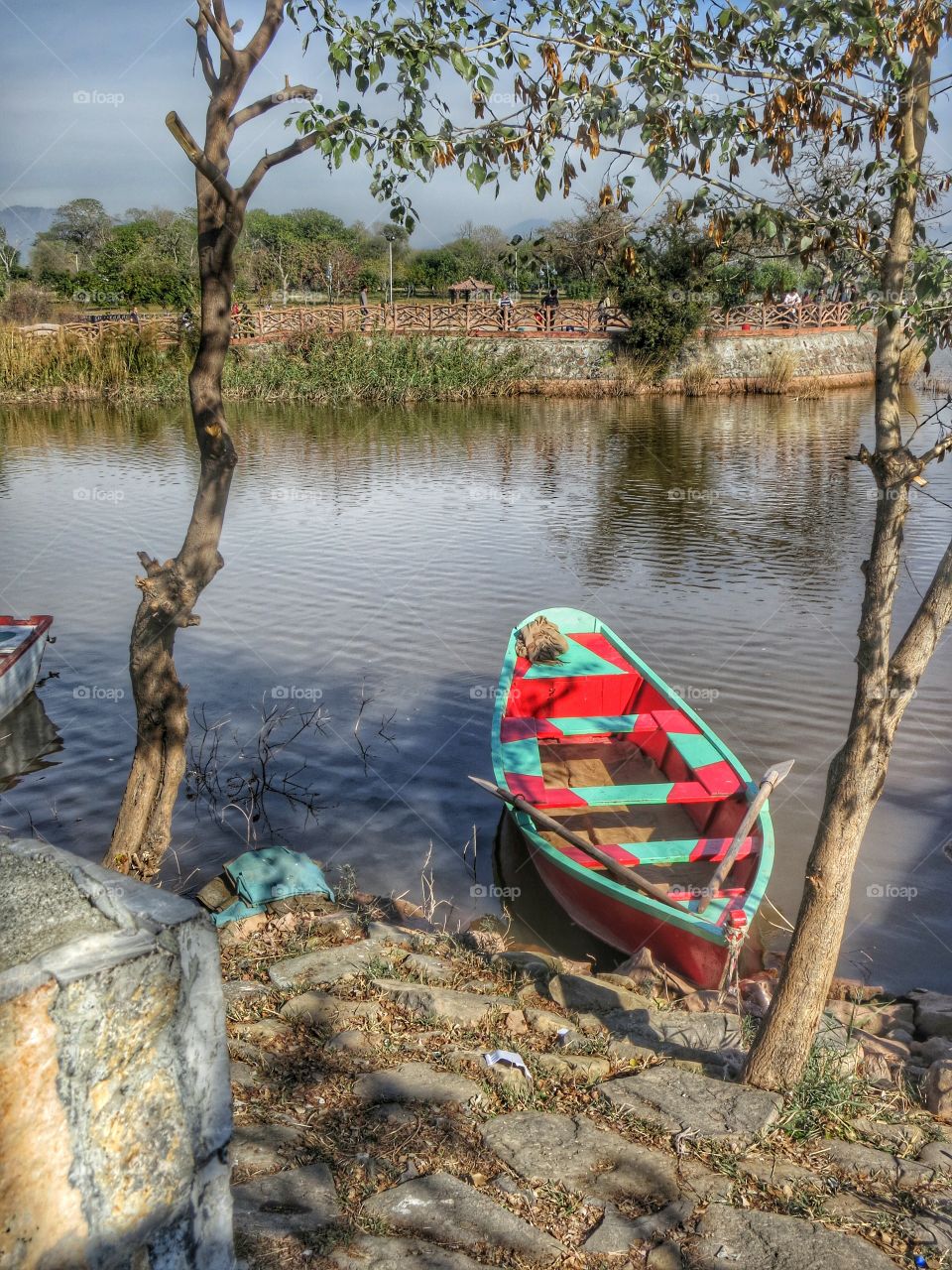 Colourful Boat at the Lake