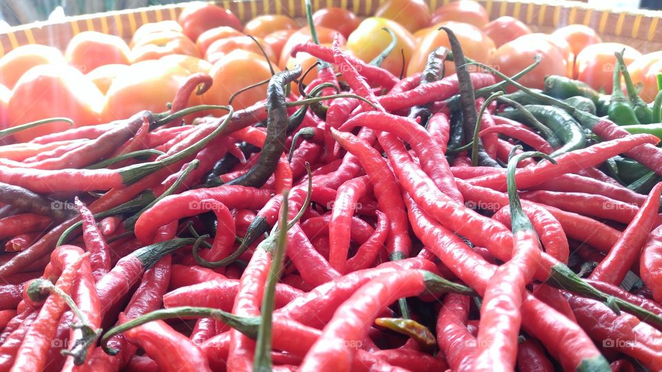Tomato red chili and green chili in one container