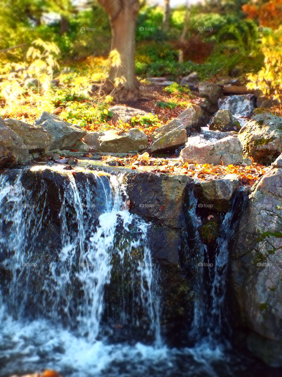 Blurred waterfall over rocks with fall leaves
